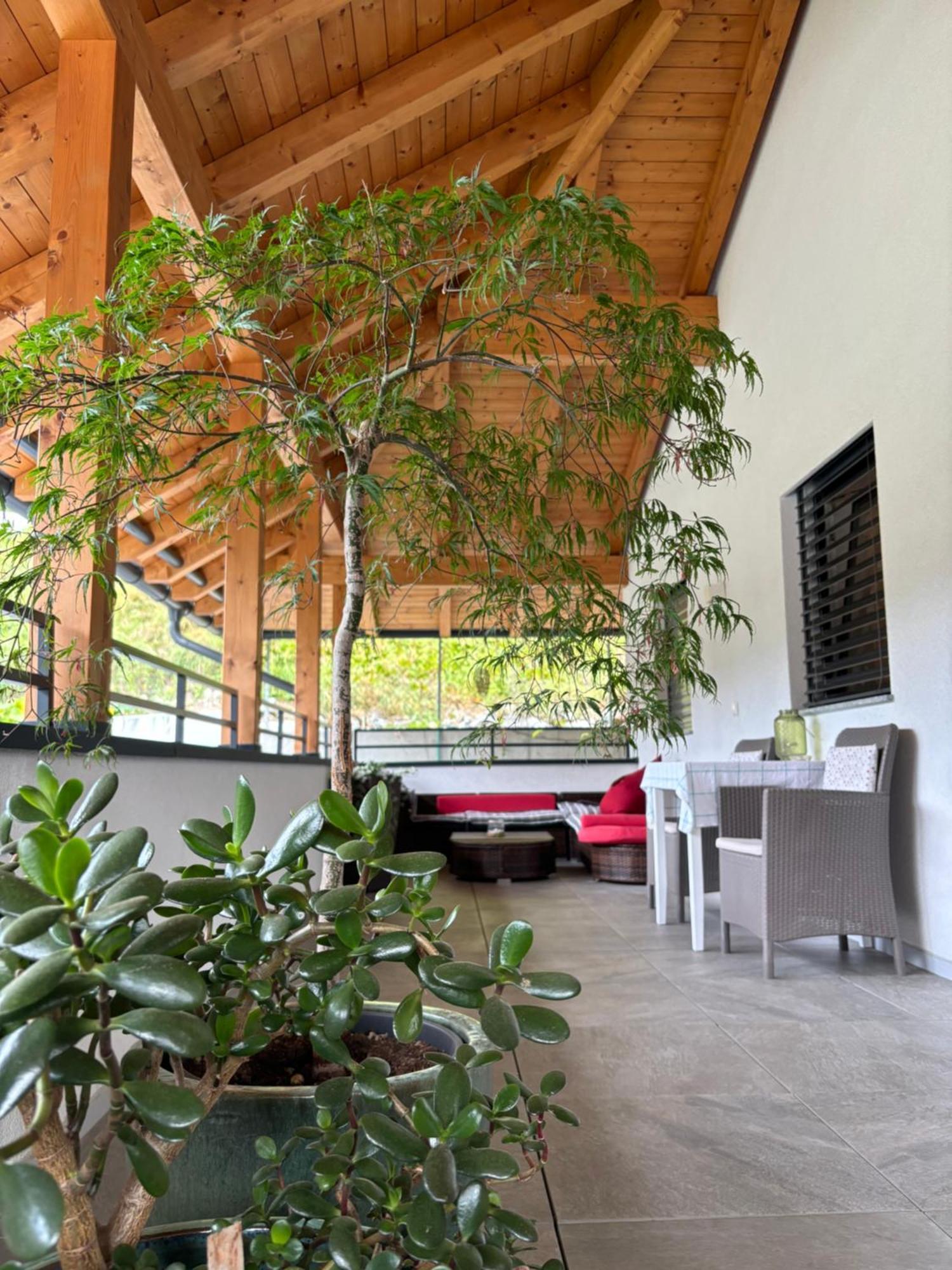 Apartment Zimat เคียเนส ภายนอก รูปภาพ